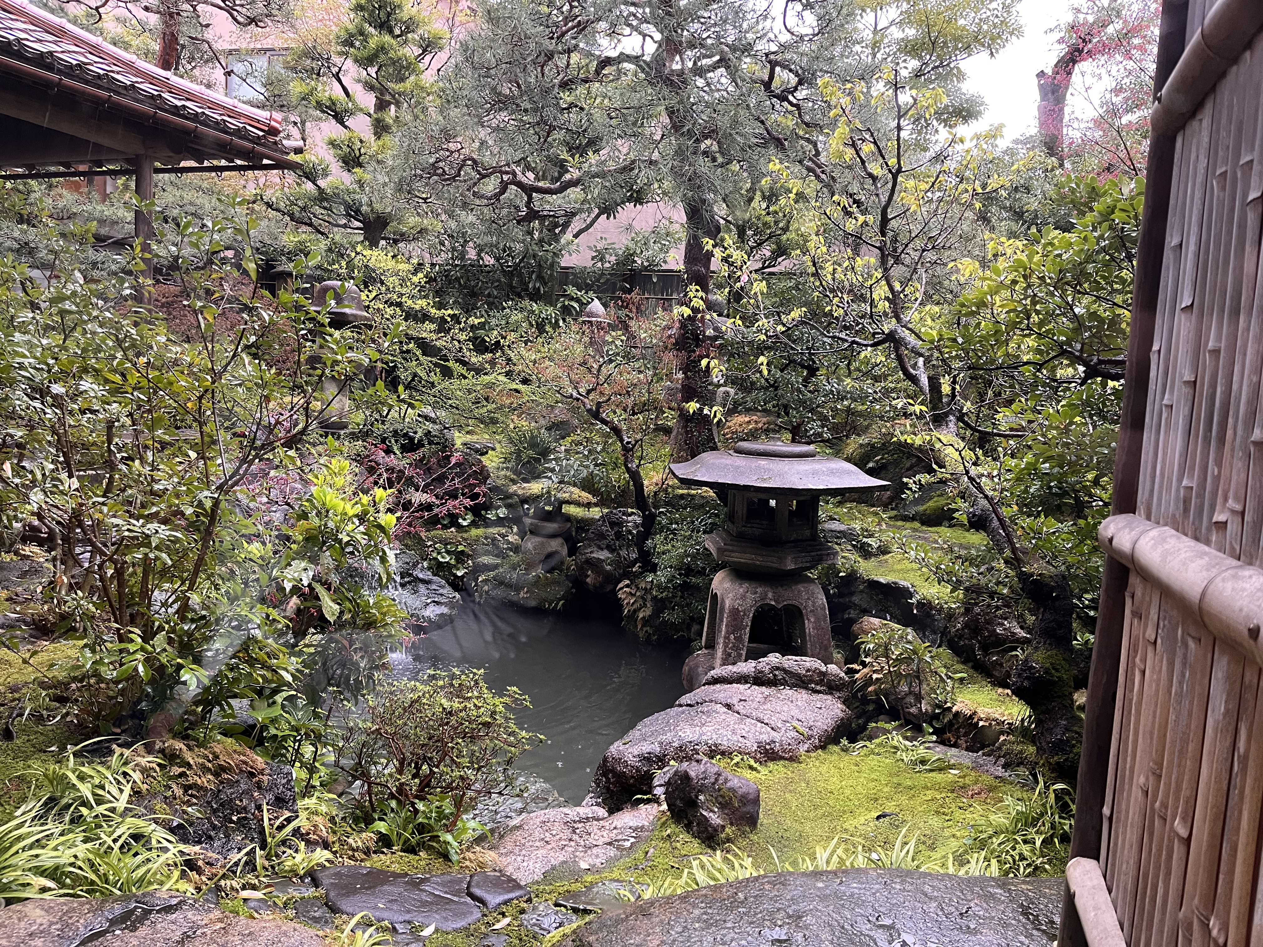 The garden of a preserved samurai family home, with a koi fish pond and stone lantern